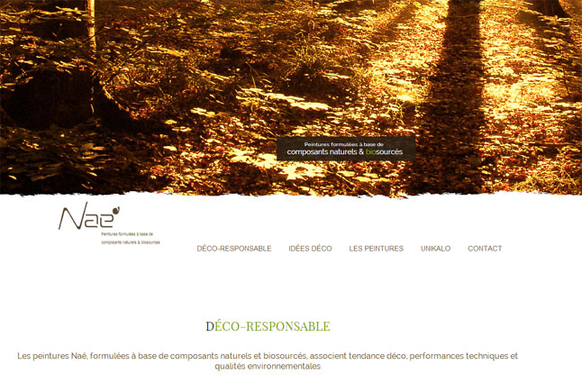 www.devenezdecoresponsable.fr